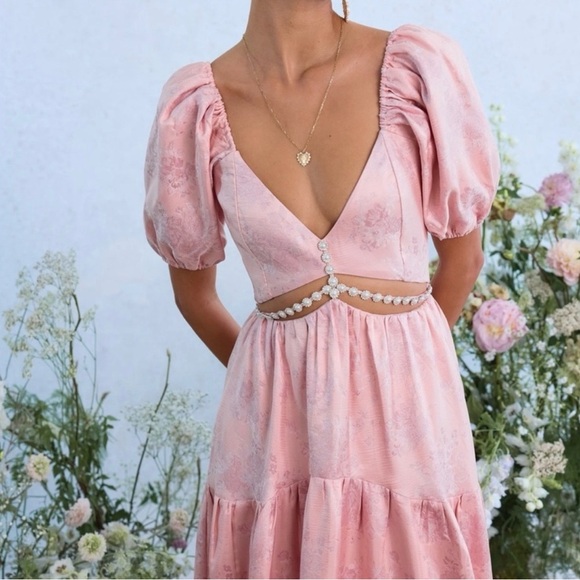 NWT V. Chapman The Emma Dress In Light Pink Windsor Brocade Floral Rhinestone 10 - Picture 6 of 13